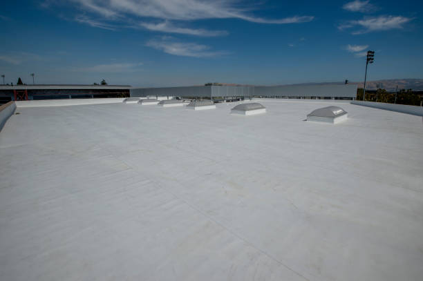 Best Skylight Installation and Repair  in Lakewood Clu, MI