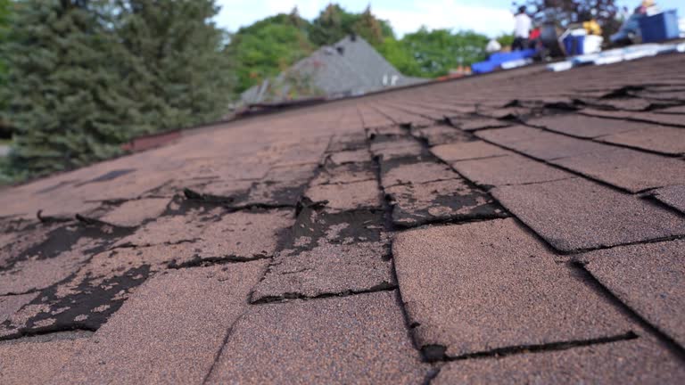 Best Rubber Roofing (EPDM, TPO)  in Lakewood Clu, MI