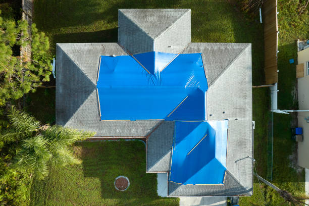 Best Roof Maintenance and Cleaning  in Lakewood Clu, MI
