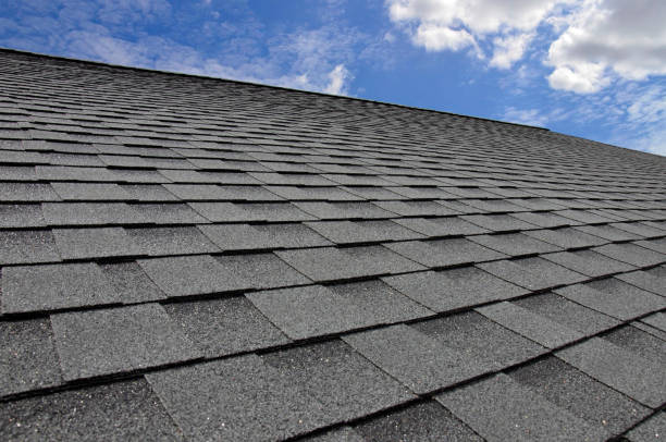 Best Roof Maintenance and Cleaning  in Lakewood Clu, MI